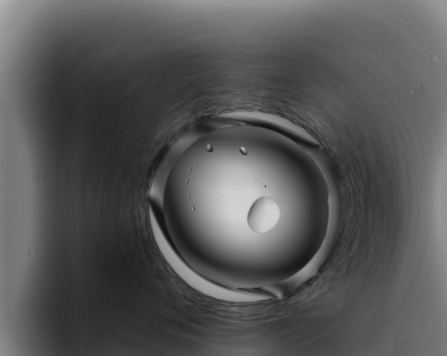 X0000094960720200712061311