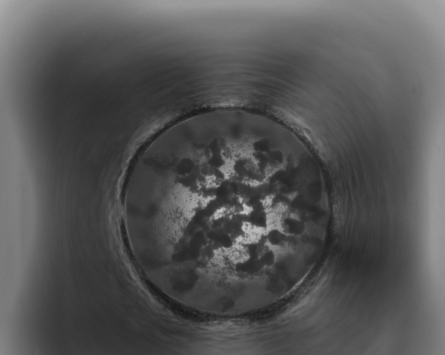 X0000094960721200712061311