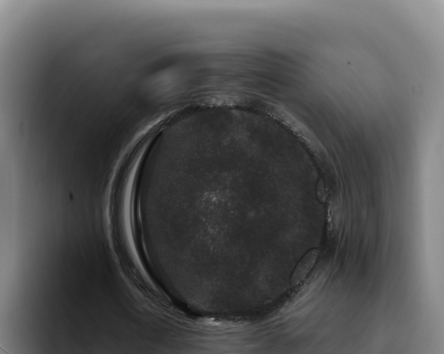 X0000094960722200712061311