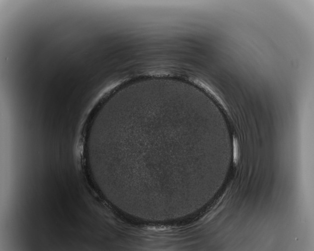 X0000094960723200712061311