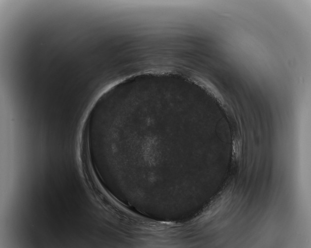 X0000094960724200712061311