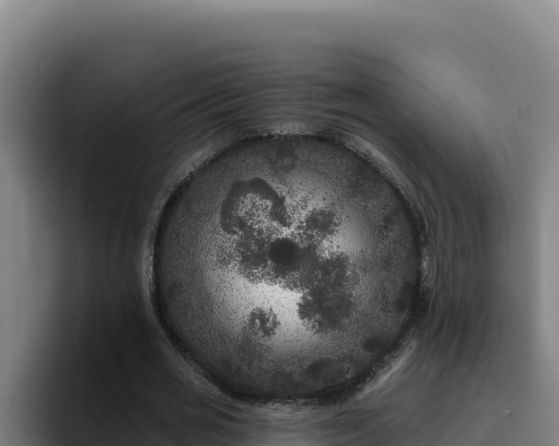 X0000094960725200712061311