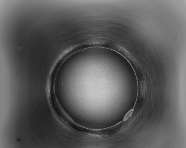 X0000094960726200712061311