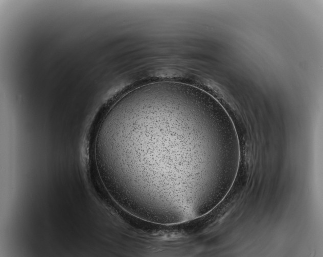 X0000094960727200712061311