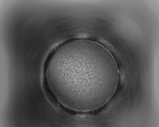 X0000094960728200712061311