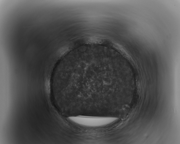 X0000094960729200712061311