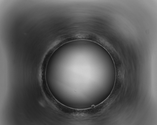 X0000094960730200712061311