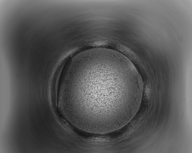 X0000094960732200712061311