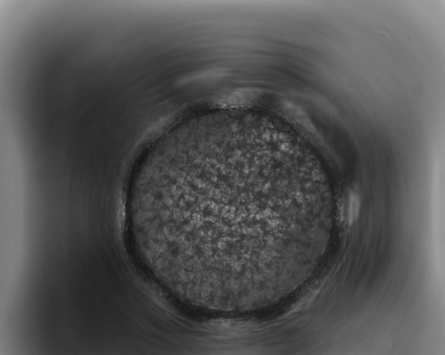 X0000094960733200712061311