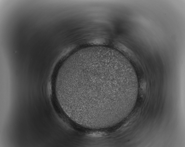 X0000094960734200712061311