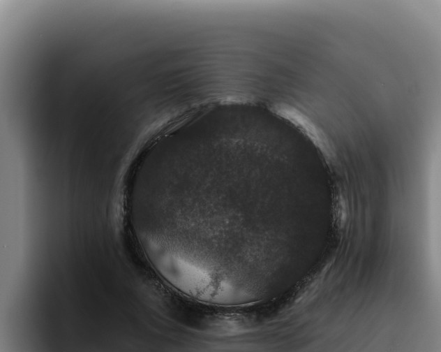 X0000094960736200712061311