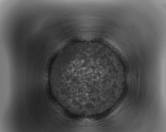 X0000094960737200712061311