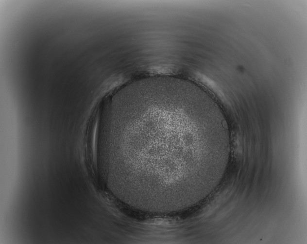 X0000094960738200712061311