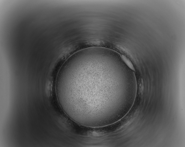 X0000094960739200712061311