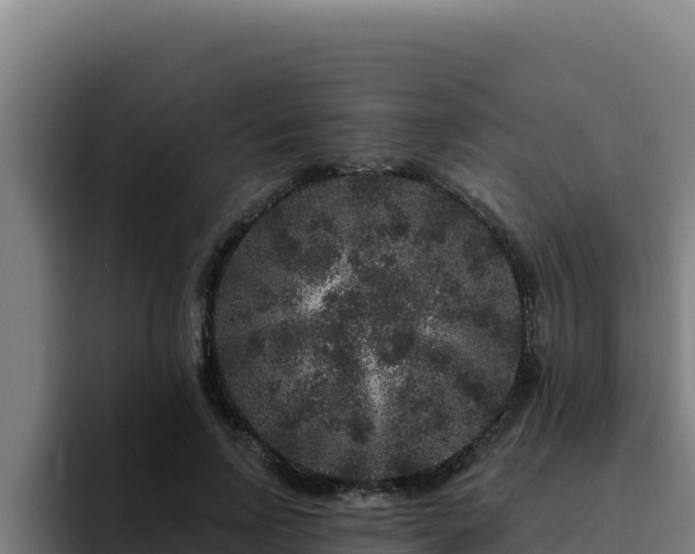 X0000094960742200712061311