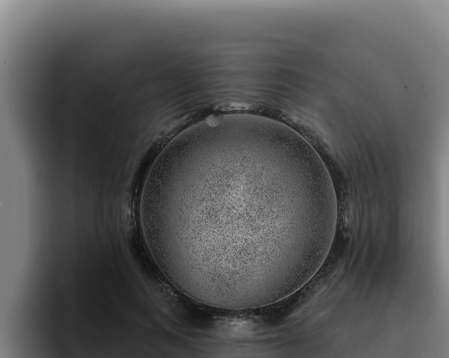 X0000094960743200712061311