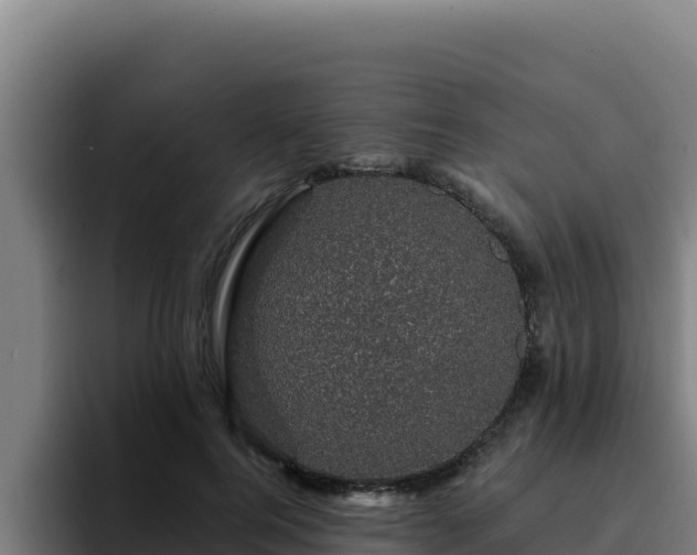 X0000094960744200712061311