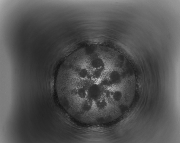 X0000094960745200712061311