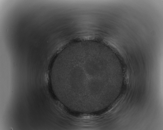 X0000094960746200712061311