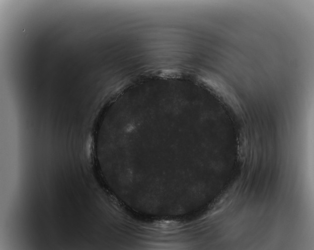 X0000094960748200712061311