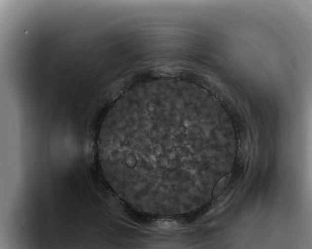 X0000094960749200712061311