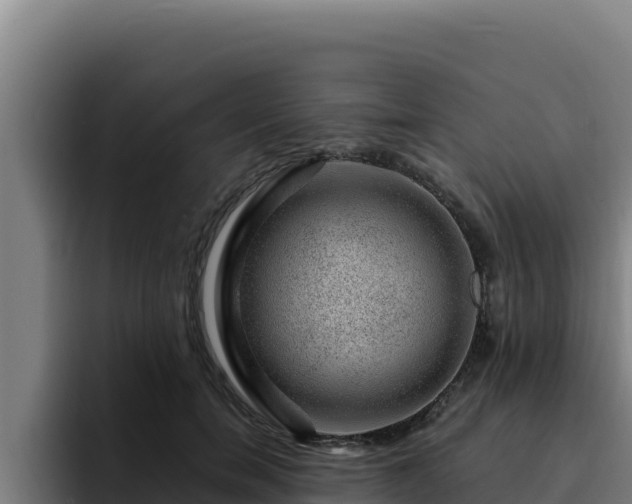 X0000094960750200712061311