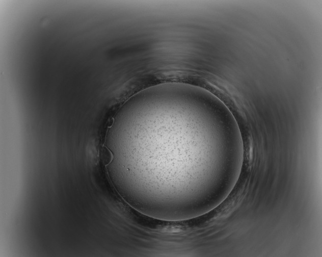 X0000094960751200712061311