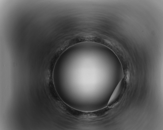 X0000094960752200712061311