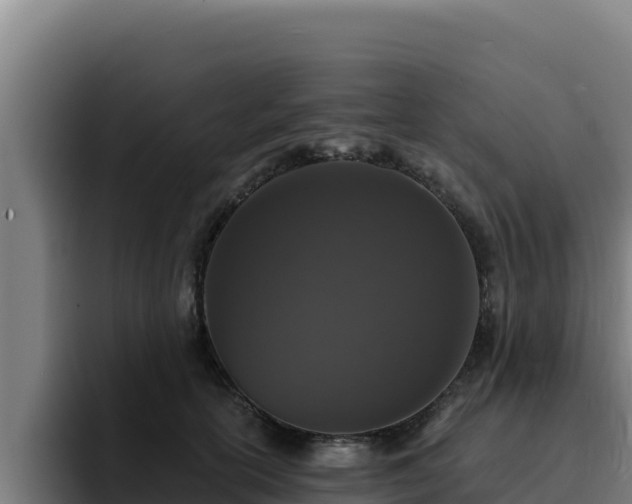 X0000094960754200712061311