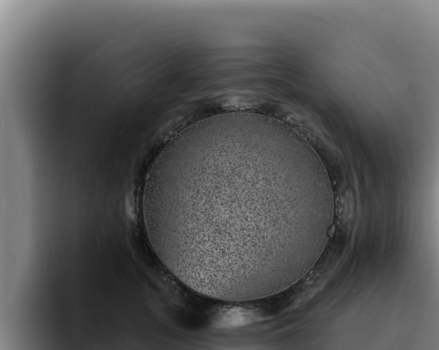 X0000094960755200712061311