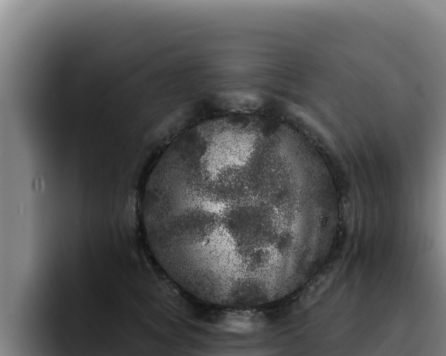 X0000094960757200712061311