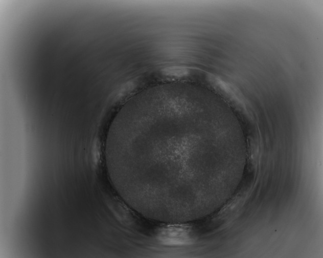 X0000094960758200712061311