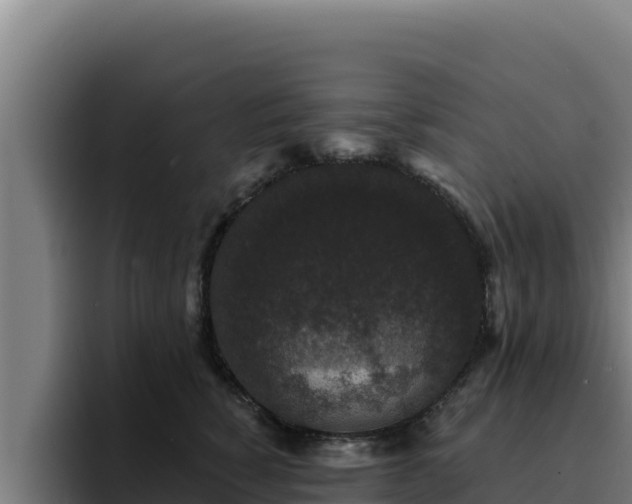 X0000094960760200712061311