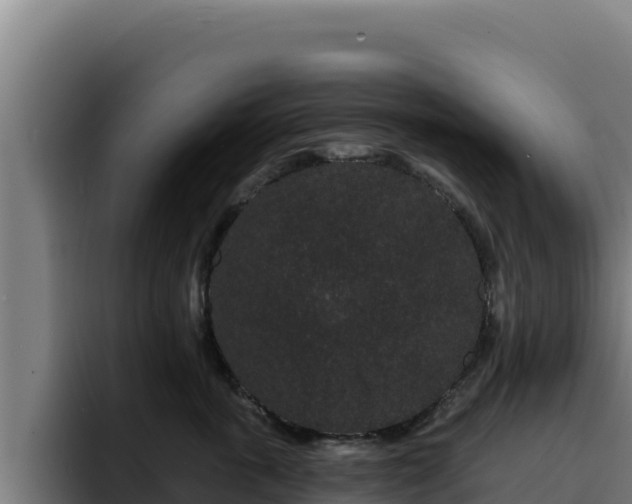 X0000094960763200712061311