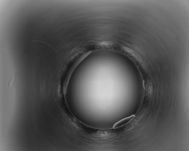 X0000094960764200712061311