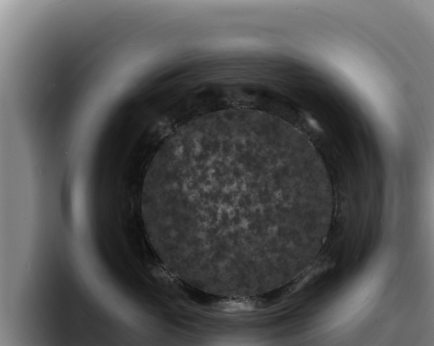 X0000094960765200712061311