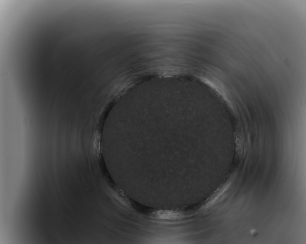 X0000094960766200712061311