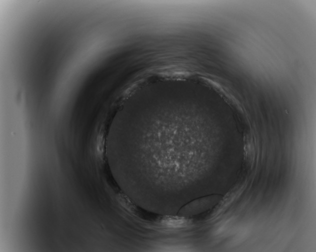 X0000094960767200712061311