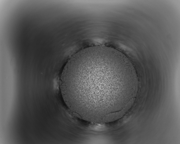 X0000094960768200712061311