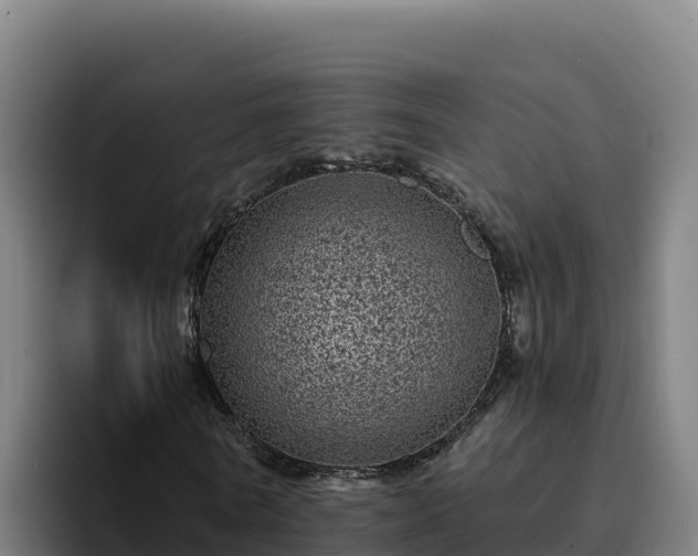 X0000094960770200712061311