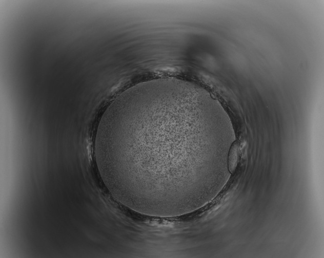 X0000094960772200712061311