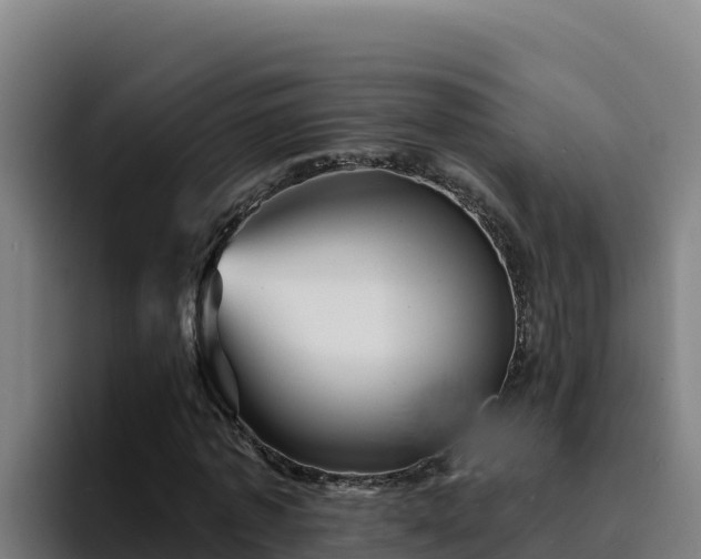 X0000094960773200712061311