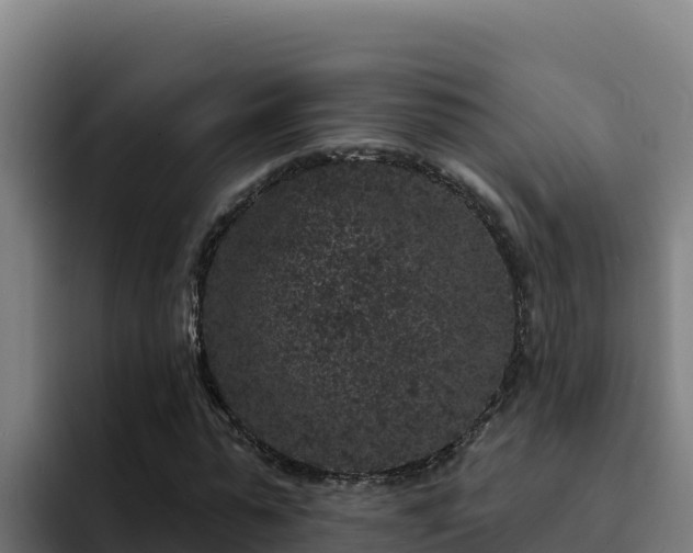 X0000094960775200712061311