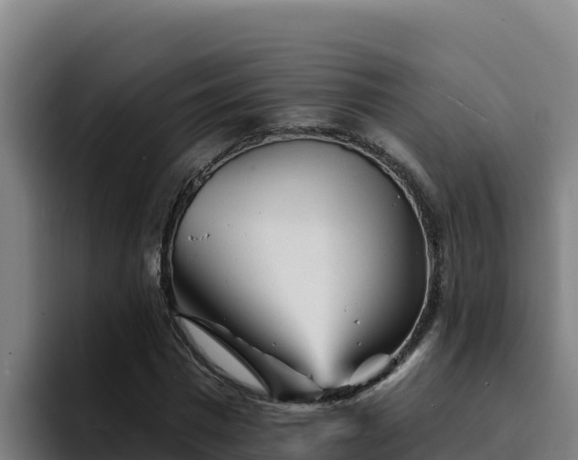 X0000094960777200712061311