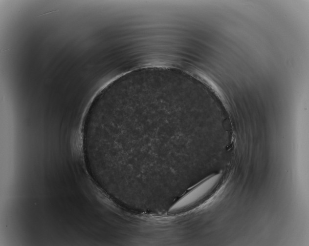 X0000094960779200712061311