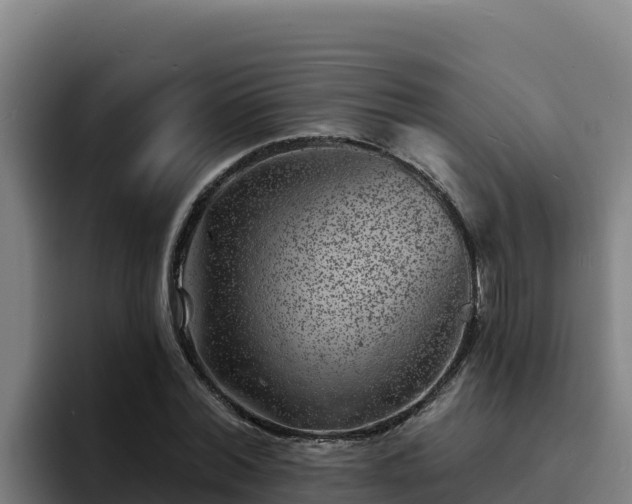 X0000094960780200712061311