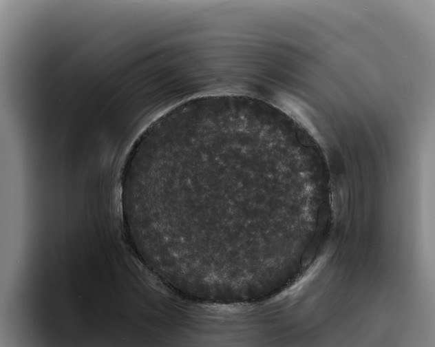 X0000094960781200712061311