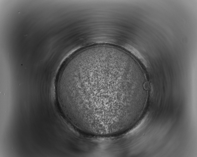 X0000094960782200712061311