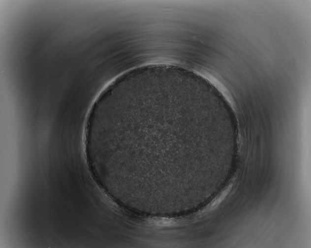 X0000094960783200712061311