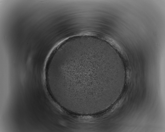 X0000094960784200712061311